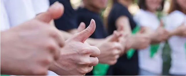 专业的效劳团队